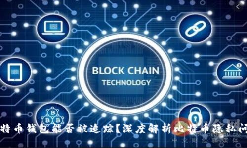 比特币钱包能否被追踪？深度解析比特币隐私问题