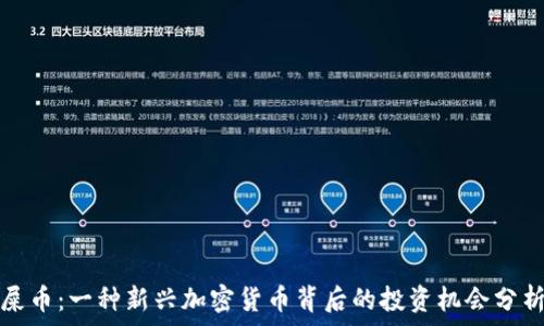   
屎币：一种新兴加密货币背后的投资机会分析