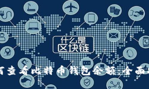 如何查看比特币钱包余额：全面指南
