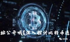 比特币钱包地址公开吗？