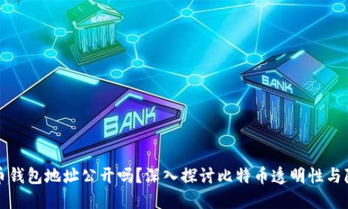 比特币钱包地址公开吗？深入探讨比特币透明性与隐私性