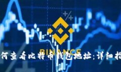 如何查看比特币钱包地址