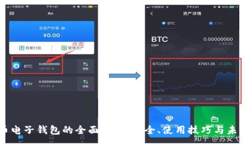 瑞波币电子钱包的全面指南：安全、使用技巧与未来趋势