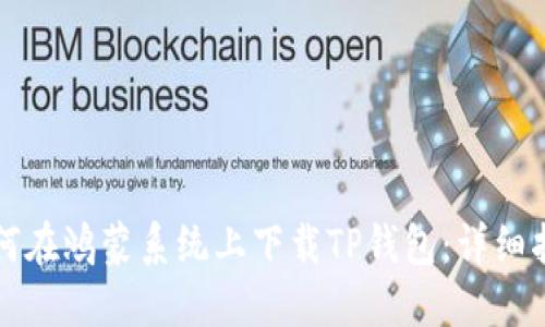 如何在鸿蒙系统上下载TP钱包：详细指南
