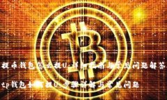 提币钱包怎么提U：详细指