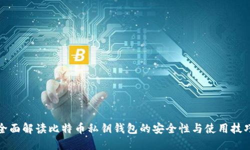 全面解读比特币私钥钱包的安全性与使用技巧