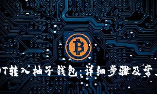 如何将USDT转入柚子钱包：详细步骤及常见问题解答