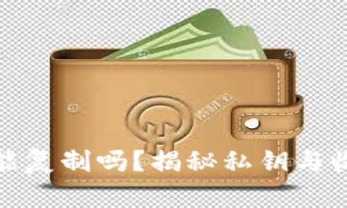 TP钱包收款码能复制吗？揭秘私钥与收款码的安全性