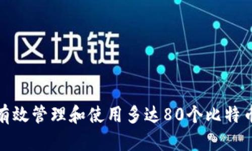 : 如何有效管理和使用多达80个比特币的钱包