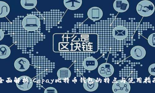 全面解析：Copay比特币钱包的特点与使用指南