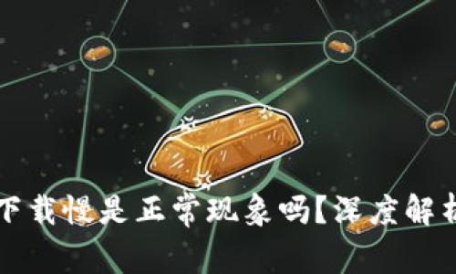 狗狗币钱包下载慢是正常现象吗？深度解析及解决方案