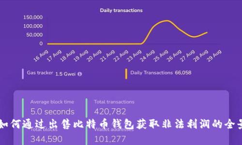 黑客如何通过出售比特币钱包获取非法利润的全景分析
