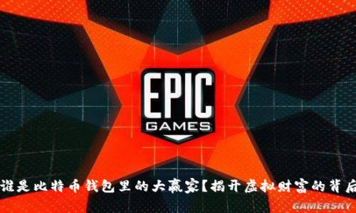 谁是比特币钱包里的大赢家？揭开虚拟财富的背后