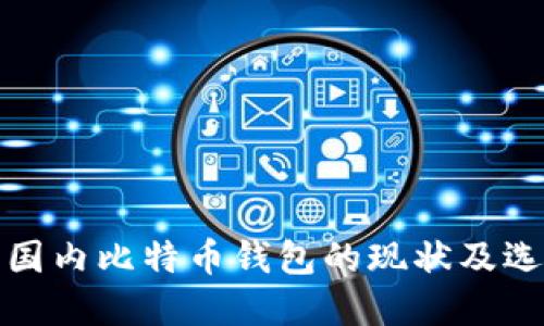 题目: 国内比特币钱包的现状及选择指南