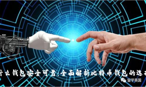 比特币用什么钱包安全可靠：全面解析比特币钱包的选择与安全性