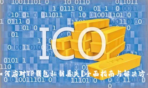 如何应对TP钱包私钥丢失？全面指南与解决方案