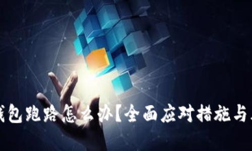 比特币私人钱包跑路怎么办？全面应对措施与风险防范指南