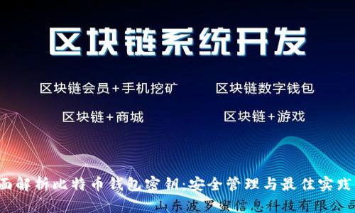  全面解析比特币钱包密钥：安全管理与最佳实践指南