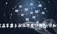 如何在苹果手机上下载T