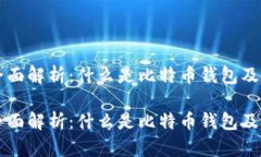 比特币钱包的全面解析：