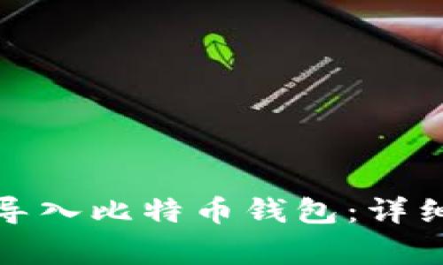 如何在火币网上导入比特币钱包：详细指南与注意事项