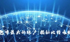 比特币钱包中最大的账户