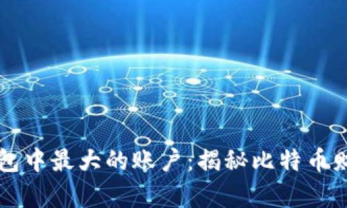 比特币钱包中最大的账户：揭秘比特币财富的集中