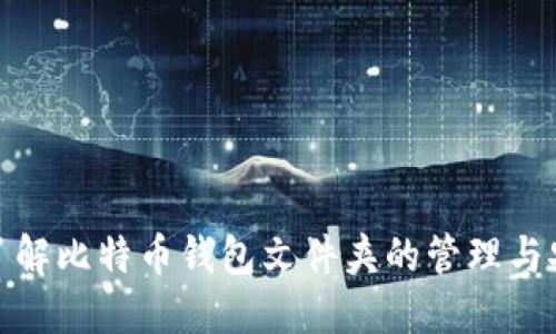 全面了解比特币钱包文件夹的管理与安全性