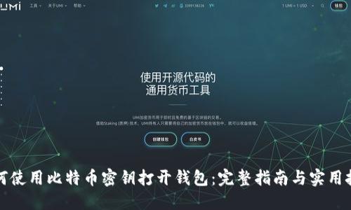 如何使用比特币密钥打开钱包：完整指南与实用技巧