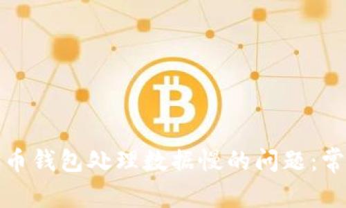 如何解决比特币钱包处理数据慢的问题：常见原因与建议