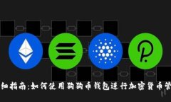 详细指南：如何使用狗狗