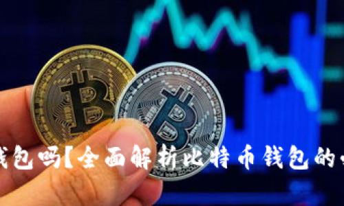 比特币需要钱包吗？全面解析比特币钱包的必要性与选择