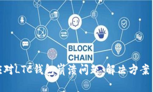 如何有效应对LTC钱包崩溃问题：解决方案与预防措施