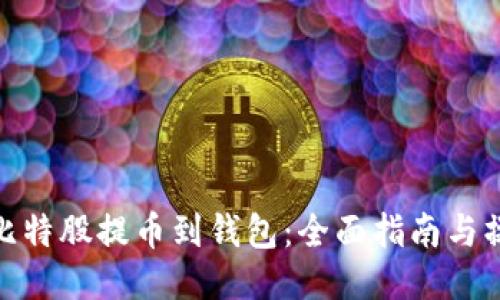 如何将比特股提币到钱包：全面指南与操作步骤