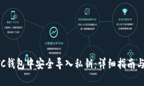 如何在LTC钱包中安全导入私钥：详细指南与最佳实践