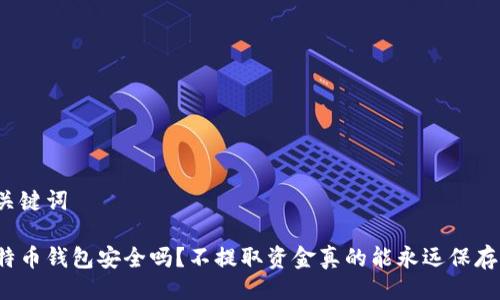 与关键词
比特币钱包安全吗?不提取资金真的能永远保存吗?