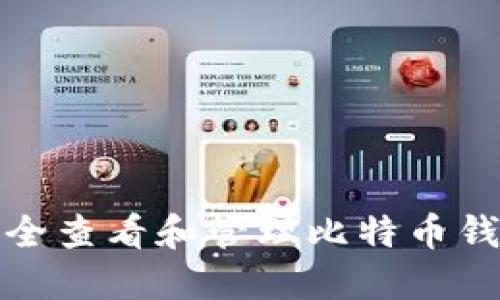 如何安全查看和管理比特币钱包文件