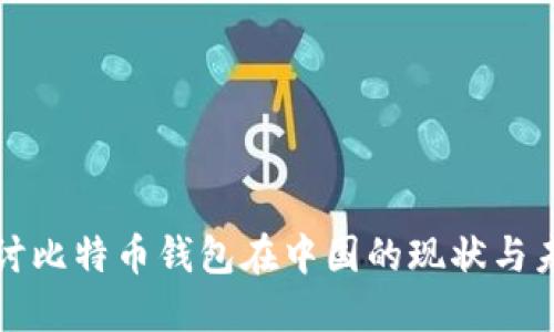 深入探讨比特币钱包在中国的现状与未来发展