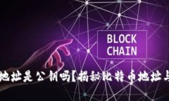 比特币钱包地址是公钥吗