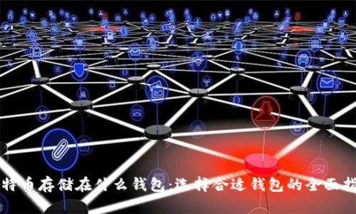 比特币存储在什么钱包：选择合适钱包的全面指南