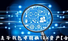 如何在麦子钱包中转换T