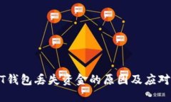 USDT钱包丢失资金的原因及