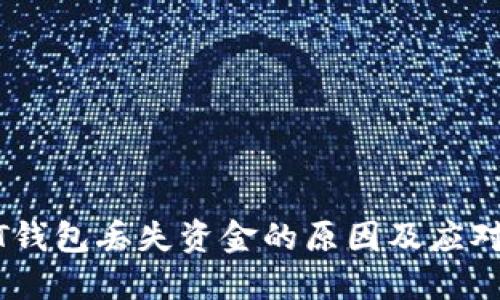USDT钱包丢失资金的原因及应对方案