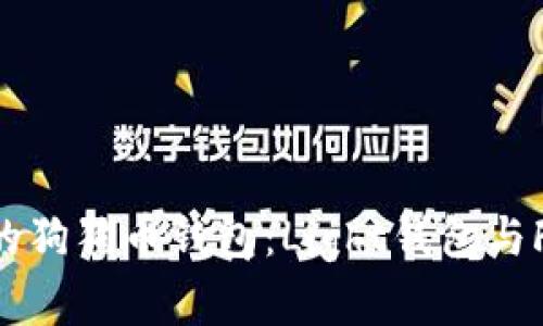 : 如何选择适合你的狗狗币钱包：Light钱包与Full钱包的深入对比