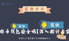 实体比特币钱包安全吗？