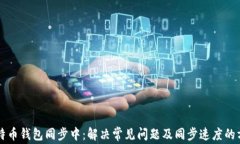 比特币钱包同步中：解决