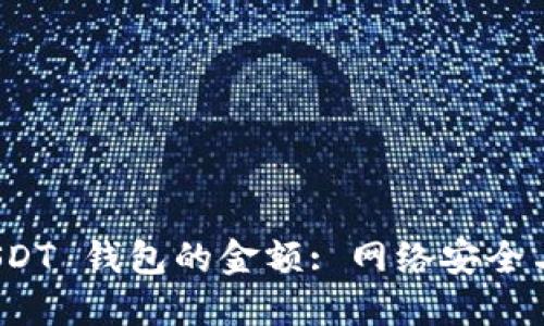 : 如何隐藏 USDT 钱包的金额: 网络安全与隐私保护指南