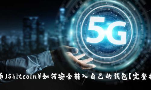 屎币（Shitcoin）如何安全转入自己的钱包？完整指南