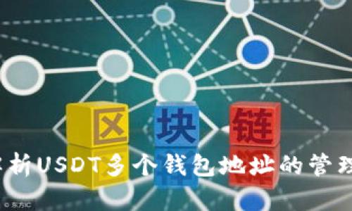  全面解析USDT多个钱包地址的管理与策略