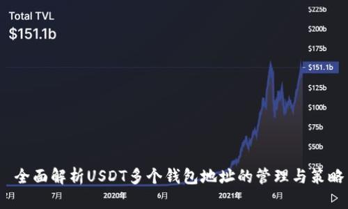  全面解析USDT多个钱包地址的管理与策略